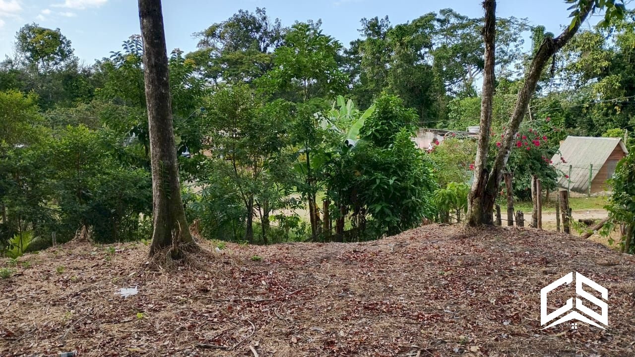 Terreno à venda no Jardim Coronel com 570m²